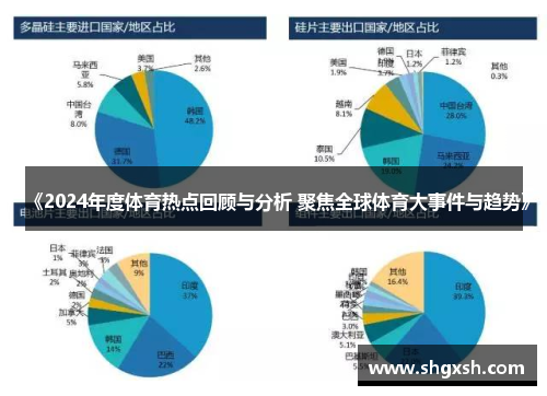 《2024年度体育热点回顾与分析 聚焦全球体育大事件与趋势》